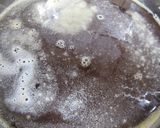 梅シロップ作り方8写真