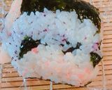 お弁当に！ふりかけで渦巻きご飯作り方12写真