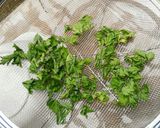 手作り乾燥イタリアンパセリ作り方5写真