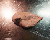 しっとり柔らか作置き鶏胸決定版！作り方6写真