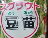 だしまろ酢de作る豆苗の酢あえ作り方1写真