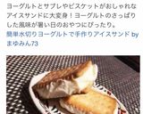 簡単水切りヨーグルトで手作りアイスサンド作り方4写真
