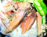 ヘシコの冷汁飯作り方4写真