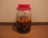 梅シロップ作り方5写真