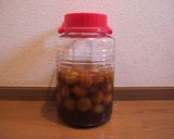 梅シロップ作り方6写真