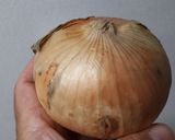 新タマで簡単ちんたま作り方1写真