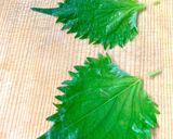 酸っぱくなった茄子漬けの食べ方作り方19写真