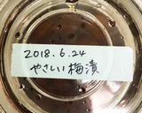 【覚書】簡単梅漬け〜初心者向け〜作り方8写真