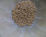 アスパラとそら豆の白胡麻たっぷりパスタ作り方4写真