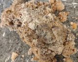 チョコクッキー作り方6写真