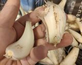 らっきょう甘酢漬け作り方1写真