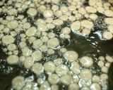 海老香る揚げ玉♪作り方6写真