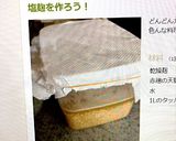 簡単 圧力鍋で塩麹スペアリブ作り方6写真