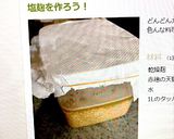 きゅうりの塩麹和え作り方2写真