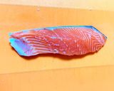 鮭とじゃがいものハンバーグ作り方1写真