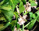 簡単副菜★豚肉ときくらげの中華風炒め作り方6写真