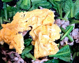 簡単副菜★豚肉ときくらげの中華風炒め作り方7写真