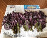夏バテ解消！気分も上がる！紫蘇ジュース！作り方1写真