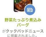 野菜たっぷり煮込みバーグ作り方8写真