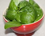 すり鉢でバジルソース作り方1写真