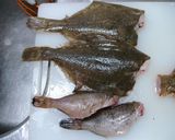 お魚の下ごしらえ＊カレイ＊作り方5写真