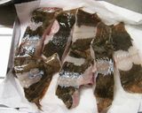 お魚の下ごしらえ＊カレイ＊作り方7写真