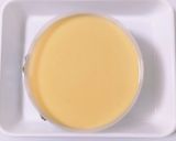 ぷるぷる♡レモンムースケーキ作り方27写真