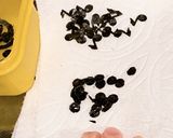 チーズのブロック春巻き作り方1写真