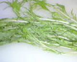 ほうれん草などの葉ものの保存♪作り方6写真