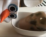 わらび餅とミルクティー寒天が吸いたかった作り方20写真