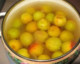 南高梅の甘露煮～♪作り方8写真