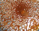 茄子のはさみ揚げ～甘酢あんあんかけ作り方8写真