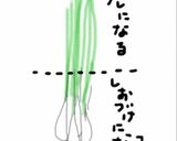 島らっきょの塩漬け 葉っぱダレをかけて作り方1写真