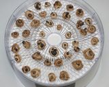 NHK☆乾燥キノコたっぷりのカレーうどん作り方6写真