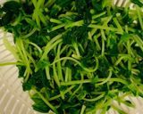 超ー簡単！豆苗のおひたし作り方4写真