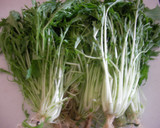 お手軽！水菜と梅ひじきの和え物作り方1写真