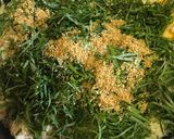 絶対に美味しい!てこね寿司作り方9写真
