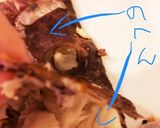 鯛のあらで 簡単!おいしい鯛めし作り方20写真