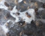 紫花豆のサラダ作り方5写真