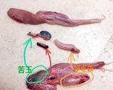 うなぎの肝の下処理と甘辛煮作り方2写真
