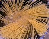 鶏肉と色々野菜のパスタ作り方1写真