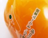 カラフルカプレーゼトマトサラダ作り方2写真