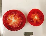 ひんやりつめた～い！サラダトマトファルシ作り方3写真