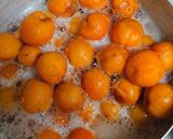 美味しいあんずジャム作り方1写真