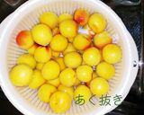 減塩はちみつ梅干し作り方1写真