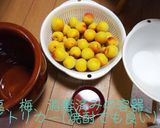 減塩はちみつ梅干し作り方2写真