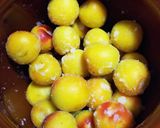 減塩はちみつ梅干し作り方7写真