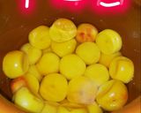 減塩はちみつ梅干し作り方16写真