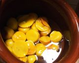 減塩はちみつ梅干し作り方17写真