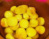 減塩はちみつ梅干し作り方19写真